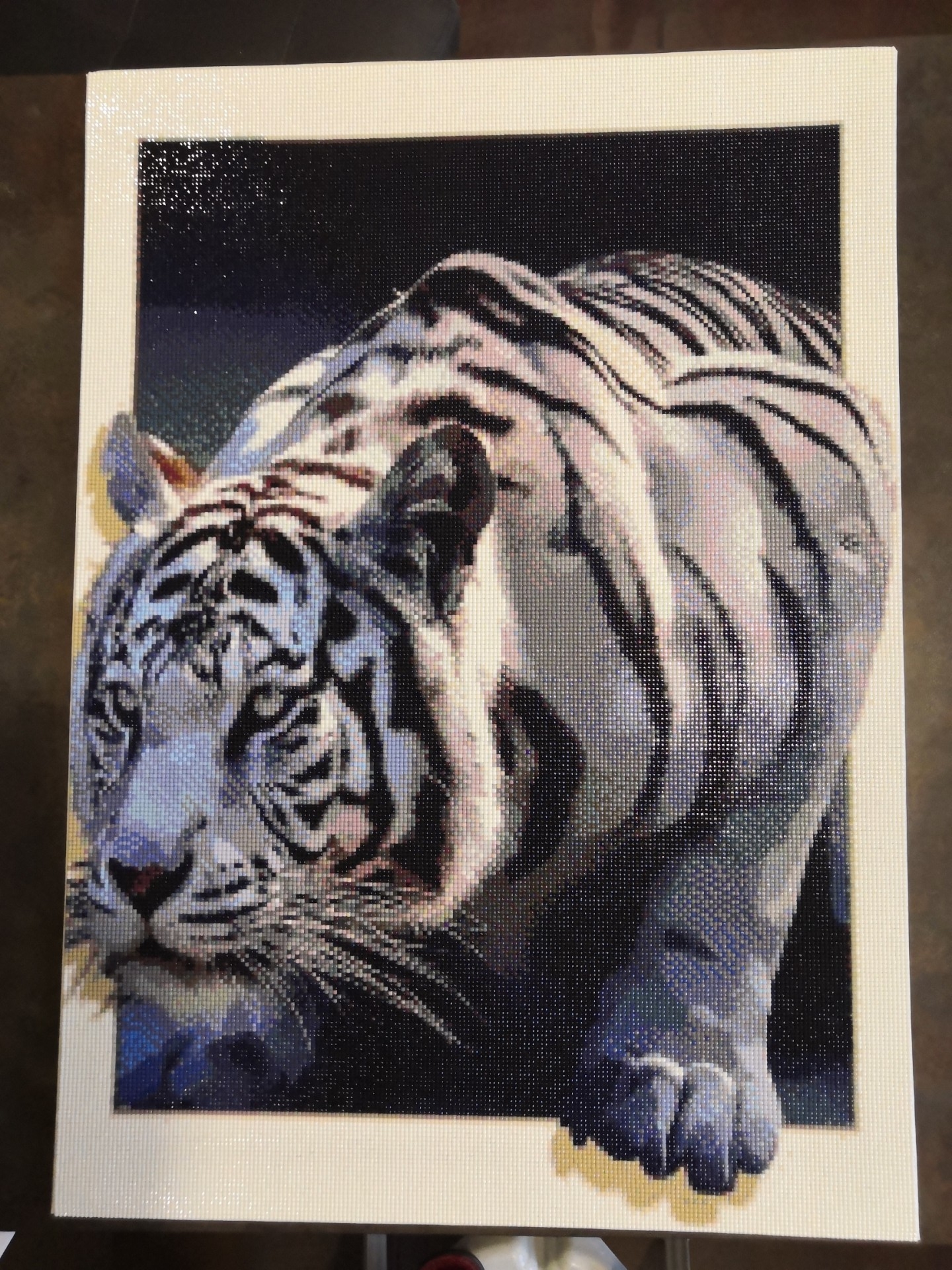 Tigre 1
